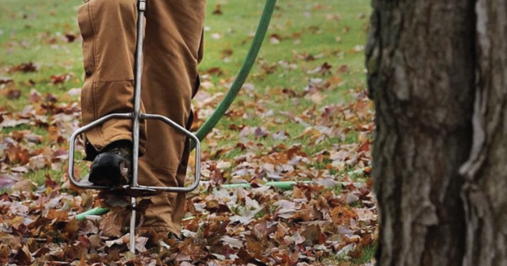 tree fertilization in the chicagoland area3
